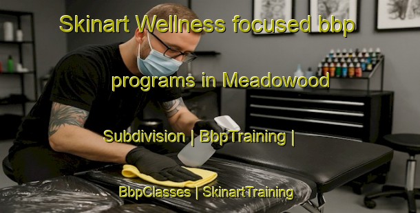 Skinart Wellness-focused bbp programs in Meadowood Subdivision | BbpTraining | BbpClasses | SkinartTraining-United States
